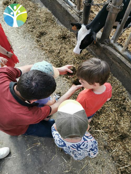 Sortie à la ferme pour la classe de petite section